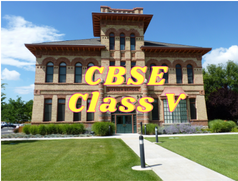 CBSE - Class V